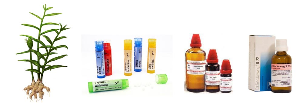 Homeopathic Medicine in Meerut