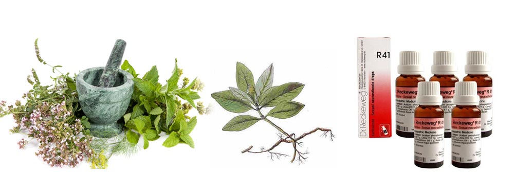 Homeopathic Treatment in Meerut